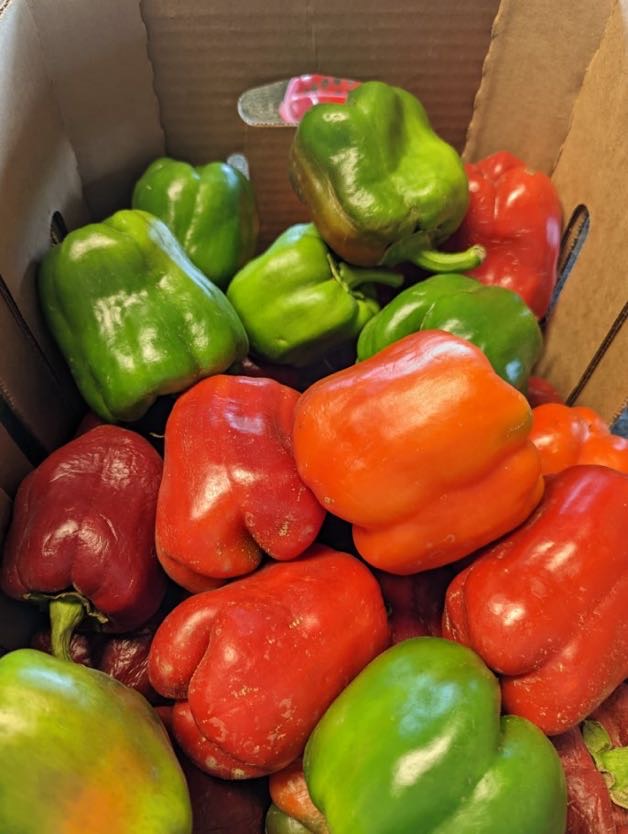 A close-up view of a box filled with a variety of fresh bell peppers, including green, red, and orange colors, showcasing their vibrant hues and textures.